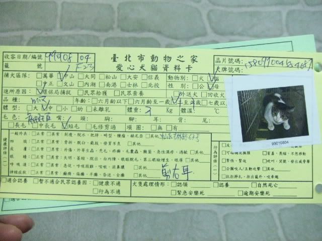 圖檔