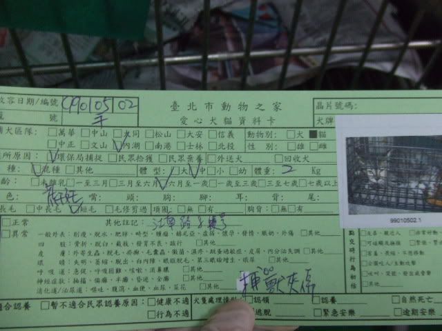 圖檔
