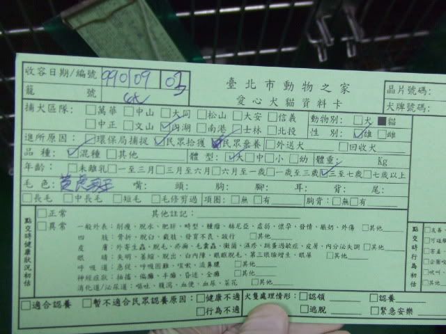 圖檔