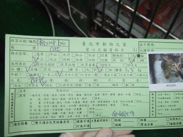 圖檔