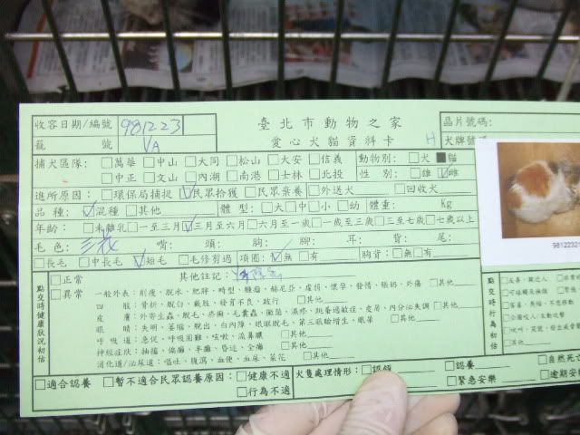 圖檔