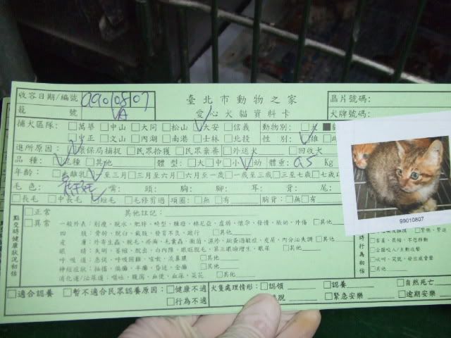 圖檔