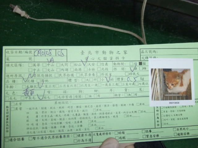 圖檔