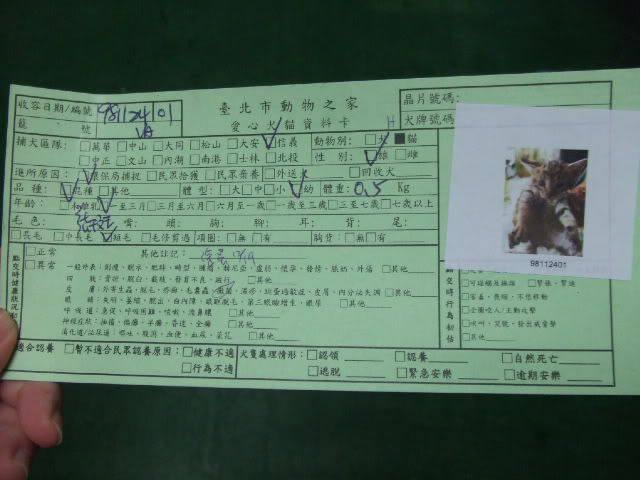 圖檔