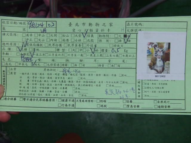 圖檔