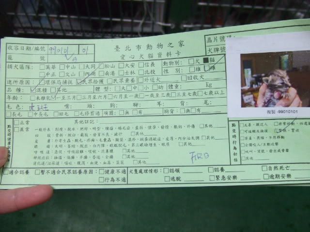 圖檔