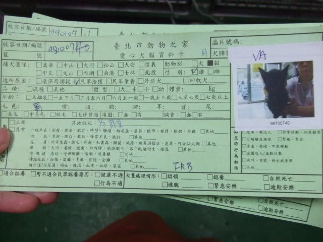 圖檔