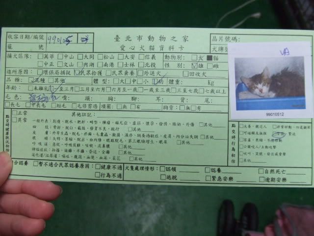 圖檔