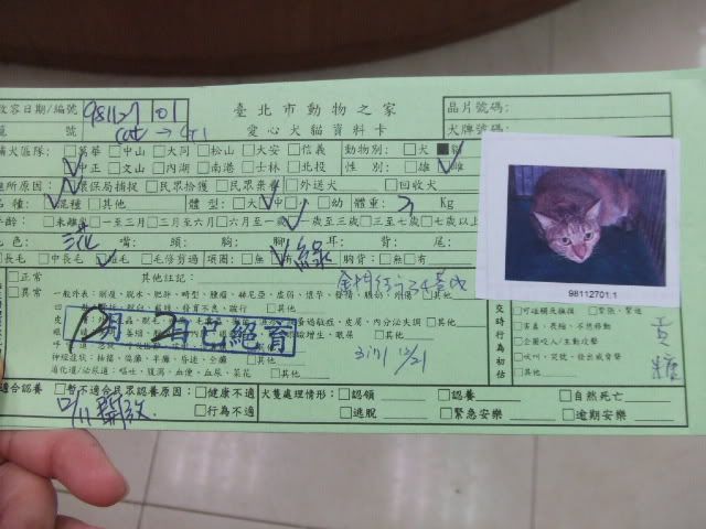 圖檔