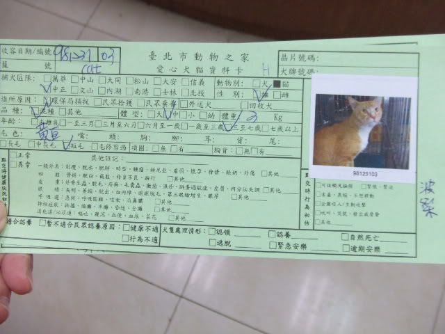圖檔