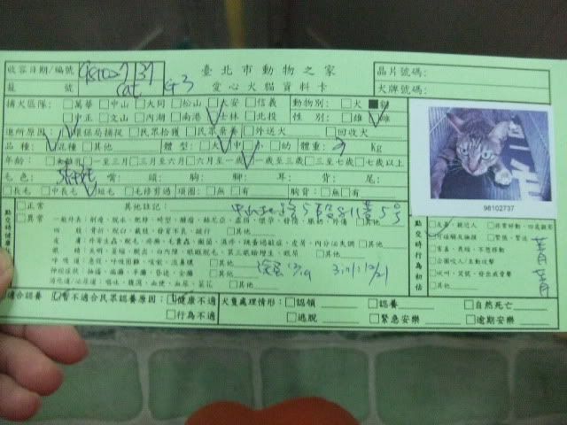 圖檔