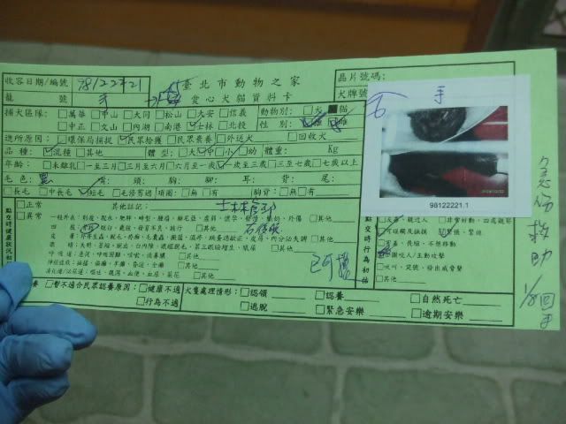 圖檔