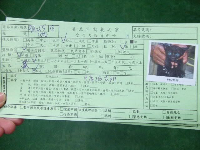 圖檔