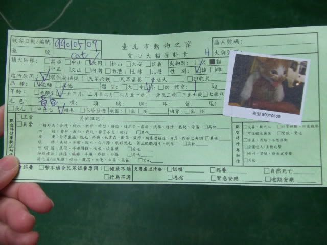 圖檔