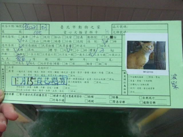 圖檔