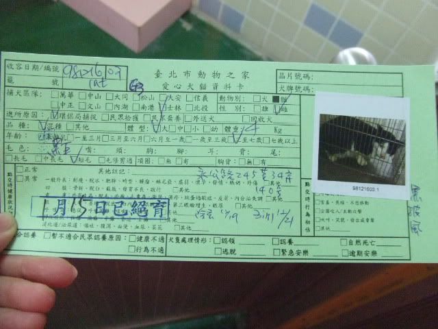 圖檔