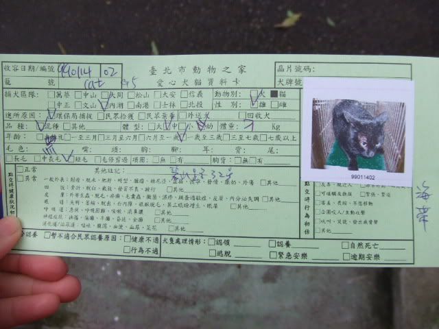 圖檔