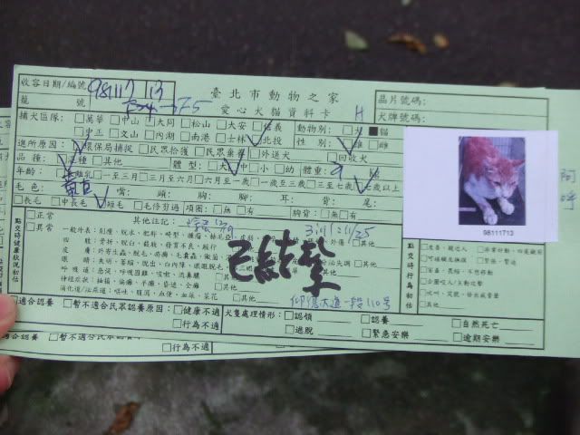 圖檔