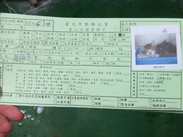 圖檔
