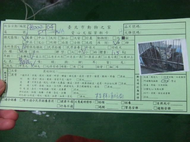 圖檔