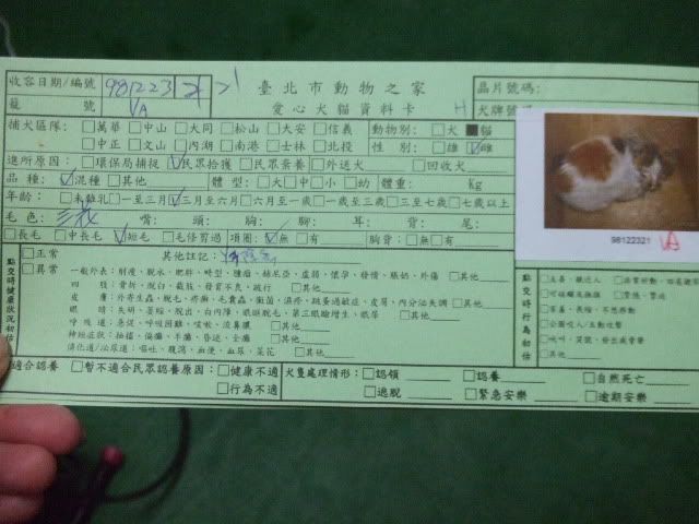 圖檔