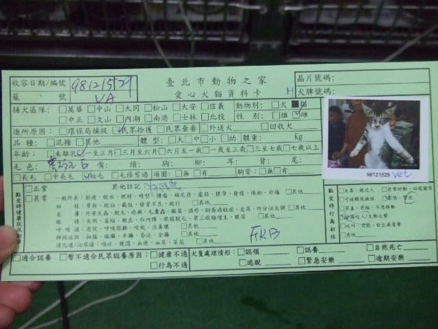 圖檔