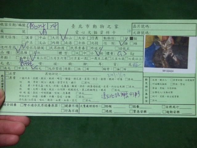 圖檔