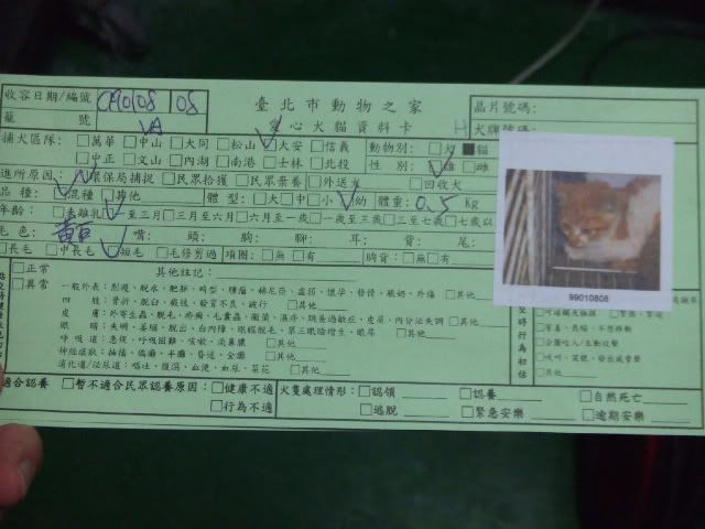 圖檔