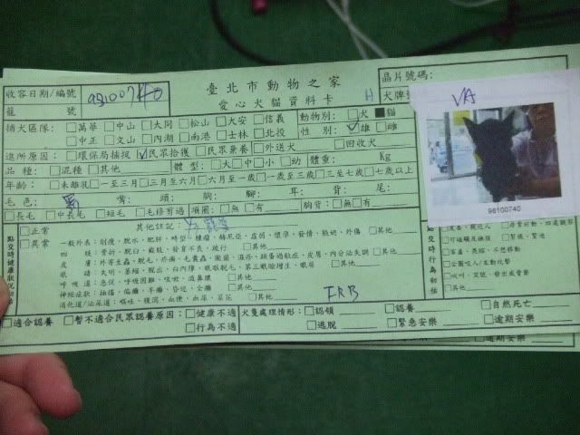 圖檔