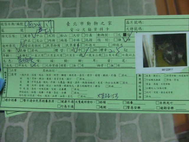 圖檔
