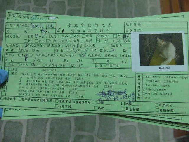 圖檔