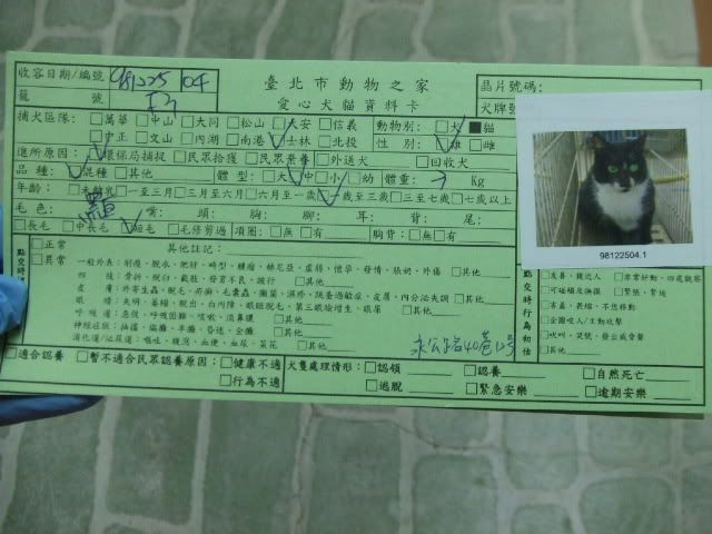 圖檔