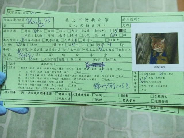 圖檔