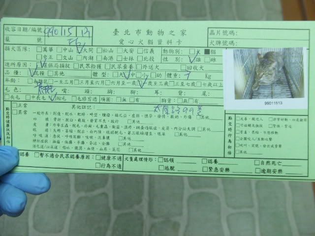 圖檔