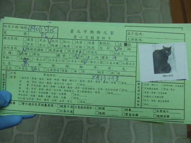 圖檔