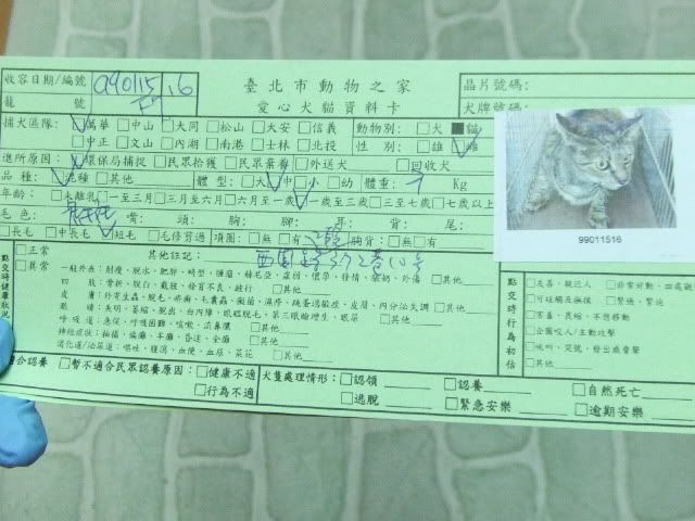 圖檔