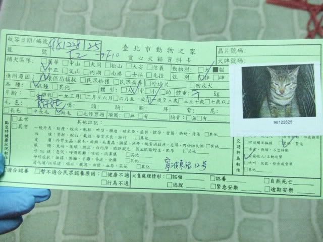 圖檔