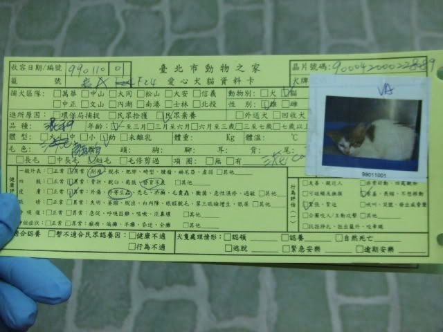 圖檔