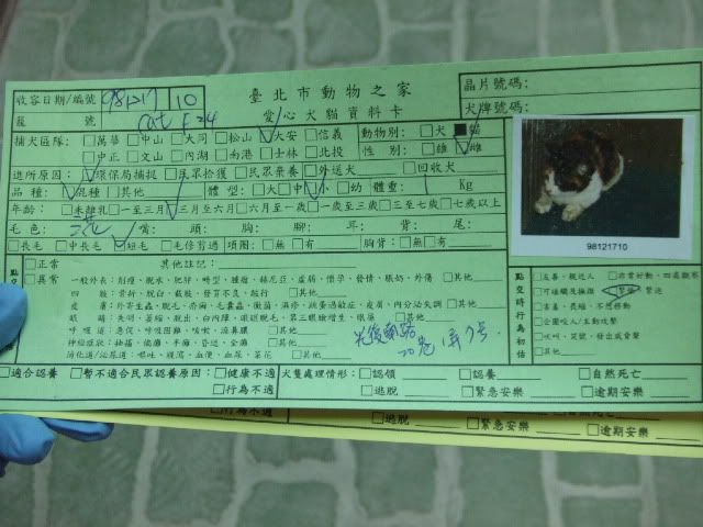 圖檔