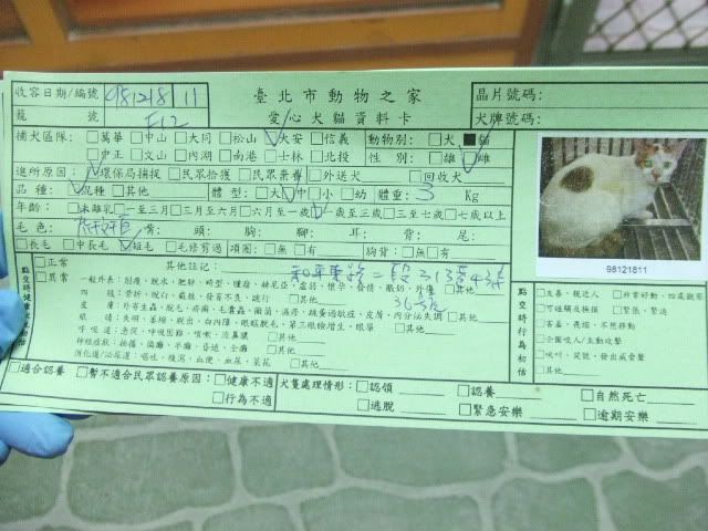 圖檔