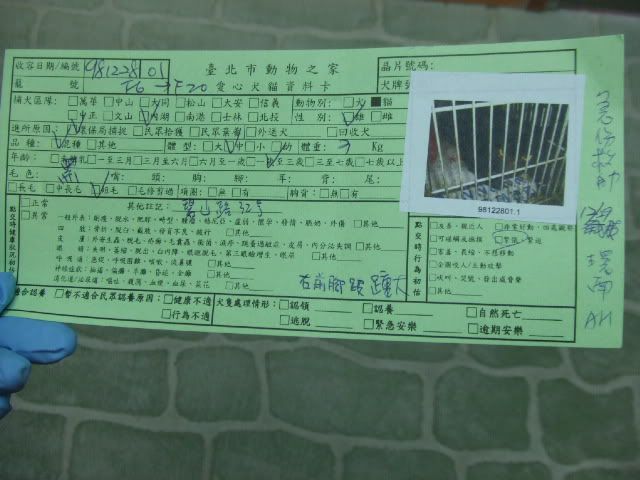 圖檔