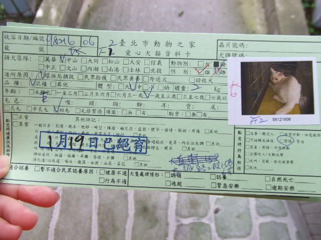 圖檔