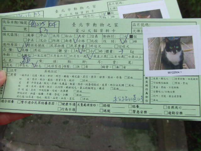 圖檔