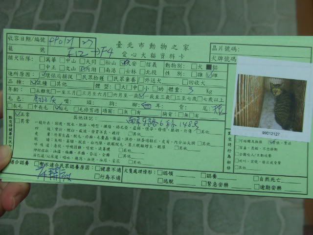 圖檔