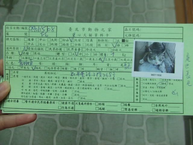 圖檔