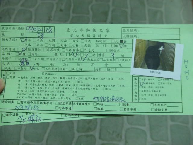 圖檔