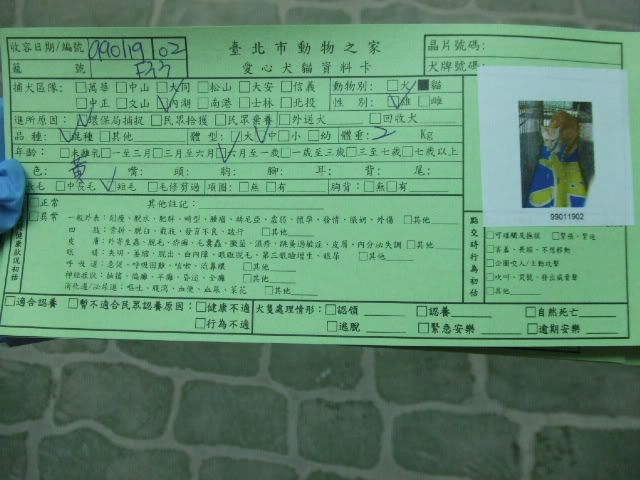 圖檔