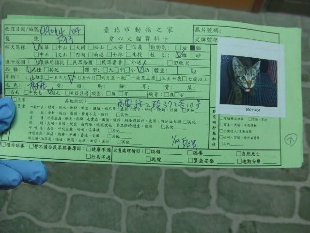 圖檔