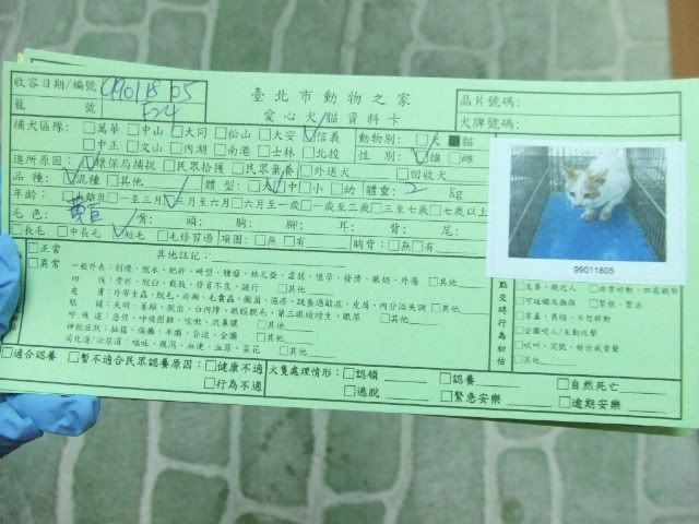 圖檔