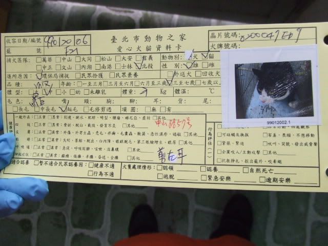 圖檔